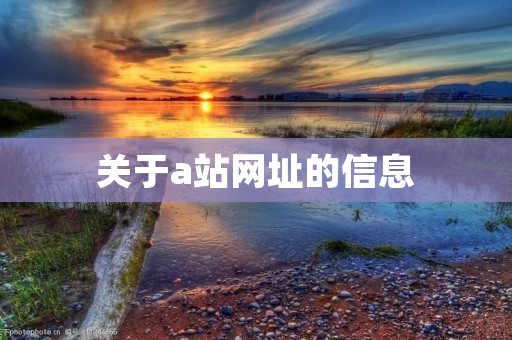 关于a站网址的信息
