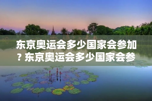 东京奥运会多少国家会参加? 东京奥运会多少国家会参加 东京奥运会多少国家会参加? 东京奥运会多少国家会参加