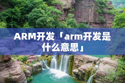 ARM开发「arm开发是什么意思」