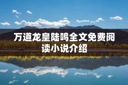 万道龙皇陆鸣全文免费阅读小说介绍