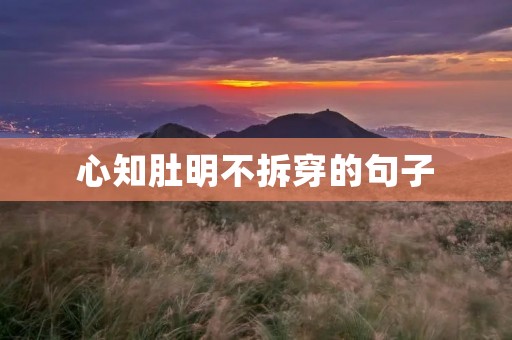 心知肚明不拆穿的句子:守护私密的秘密