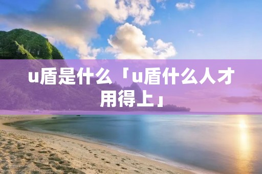 u盾是什么「u盾什么人才用得上」