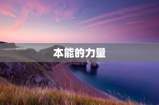 本能的力量:探索人类本能的奥秘 本能的力量:探索人类本能的奥秘