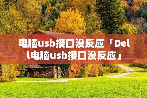 电脑u**接口没反应「Dell电脑u**接口没反应」
