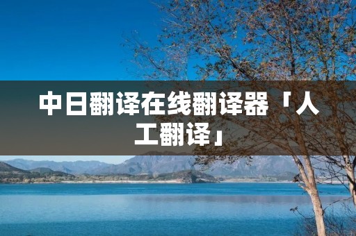 中日翻译在线翻译器「人工翻译」