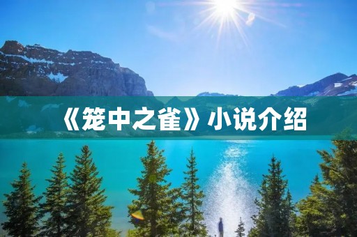 《笼中之雀》小说介绍