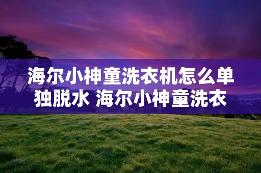 海尔小神童洗衣机怎么单独脱水 海尔小神童洗衣机单独脱水正常洗涤波轮和内捅却动 海尔小神童洗衣机怎么单独脱水 海尔小神童洗衣机单独脱水正常洗涤波轮和内捅却动