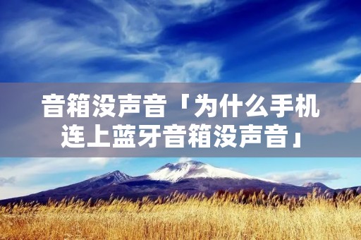 音箱没声音「为什么手机连上蓝牙音箱没声音」