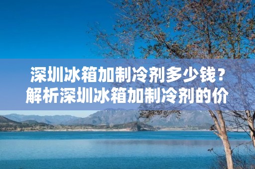 深圳冰箱加制冷剂多少钱？解析深圳冰箱加制冷剂的价格因素