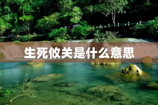 生死攸关是什么意思