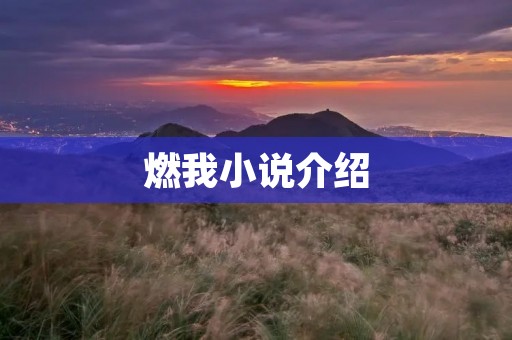 燃我小说介绍