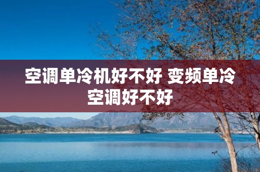 空调单冷机好不好 变频单冷空调好不好