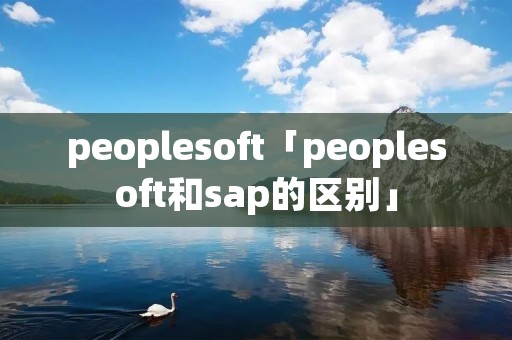peoplesoft「peoplesoft和sap的区别」