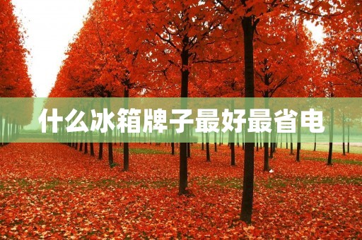 什么冰箱牌子最好最省电 什么冰箱牌子最好最省电