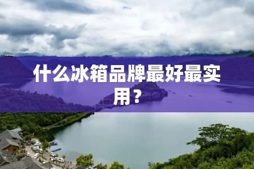 什么冰箱品牌最好最实用？