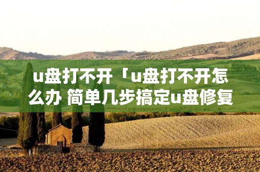 u盘打不开「u盘打不开怎么办 简单几步搞定u盘修复」