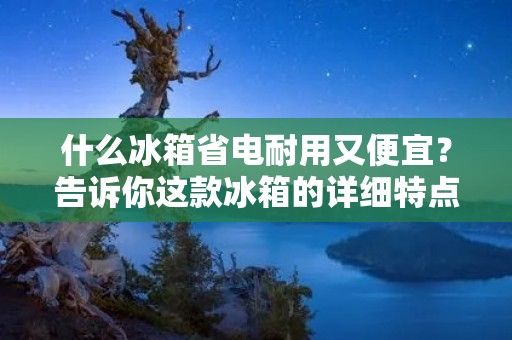 什么冰箱省电耐用又便宜？告诉你这款冰箱的详细特点