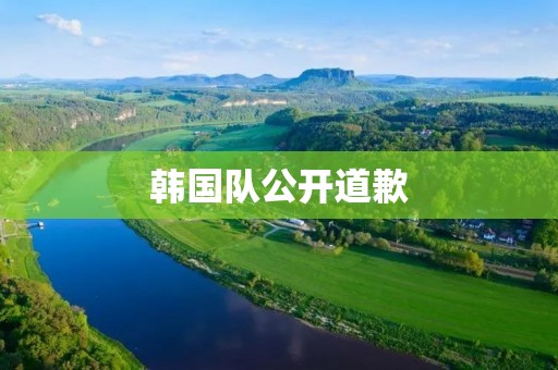 韩国队公开道歉:再次为不端行为向全球球迷致歉 韩国队公开道歉:再次为不端行为向全球球迷致歉