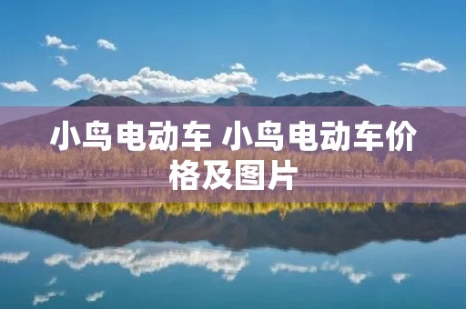 小鸟电动车 小鸟电动车价格及图片