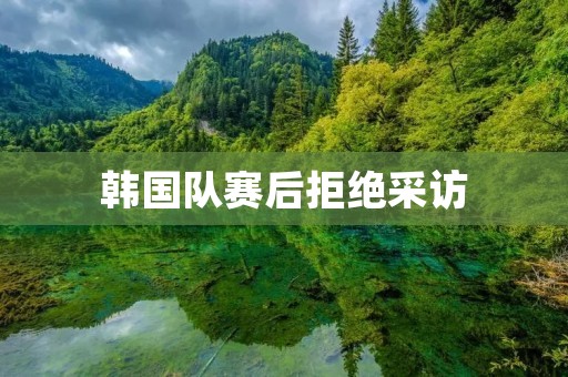 韩国队赛后拒绝采访:探讨体育界的责任与尊重 韩国队赛后拒绝采访:探讨体育界的责任与尊重