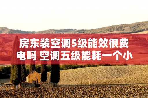房东装空调5级能效很费电吗 空调五级能耗一个小时多少钱 房东装空调5级能效很费电吗 空调五级能耗一个小时多少钱