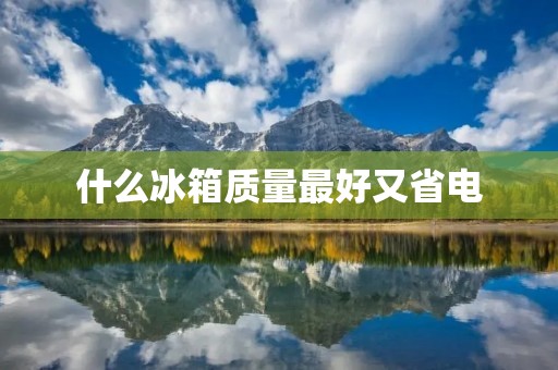 什么冰箱质量最好又省电