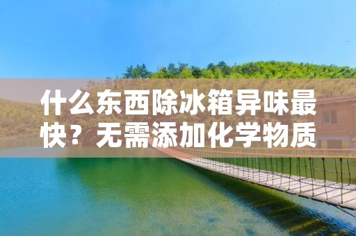 什么东西除冰箱异味最快？无需添加化学物质，这里有一种简单有效的方法！