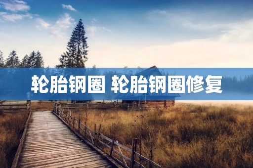轮胎钢圈 轮胎钢圈修复 轮胎钢圈 轮胎钢圈修复