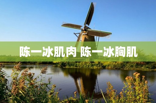 陈一冰肌肉 陈一冰胸肌