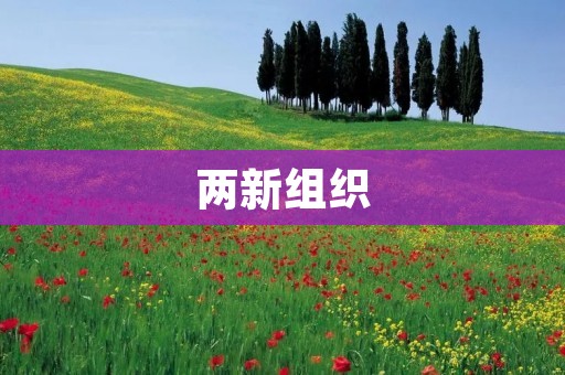 两新组织:促进经济发展与社会进步的重要力量 两新组织:促进经济发展与社会进步的重要力量