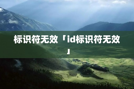 标识符无效「id标识符无效」