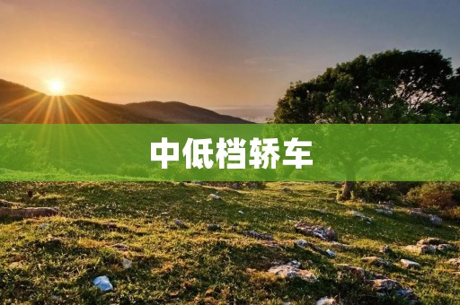 中低档轿车：性价比之王的绝佳选择