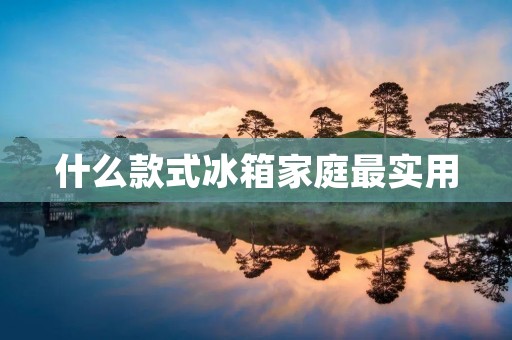 什么款式冰箱家庭最实用
