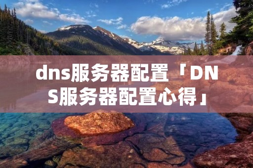 dns服务器配置「DNS服务器配置心得」