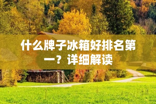 什么牌子冰箱好排名第一?详细解读 什么牌子冰箱好排名第一?详细解读