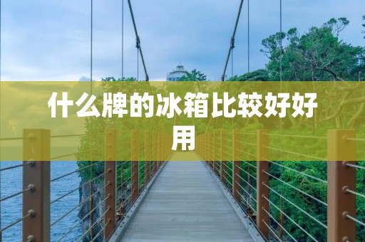 什么牌的冰箱比较好好用 什么牌的冰箱比较好好用