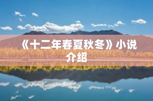 《十二年春夏秋冬》小说介绍