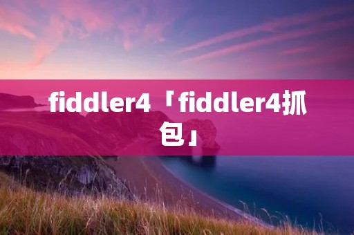 fiddler4「fiddler4抓包」