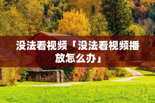 没法看视频「没法看视频播放怎么办」
