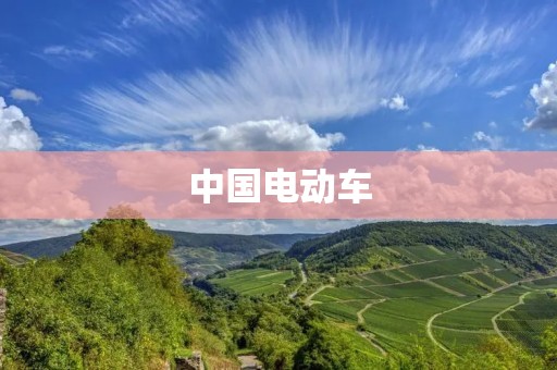 中国电动车：新能源时代的领军者
