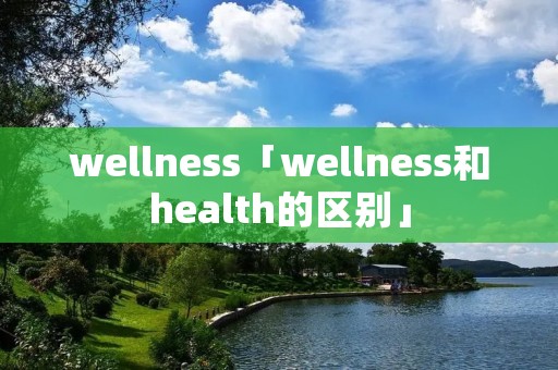 wellness「wellness和health的区别」