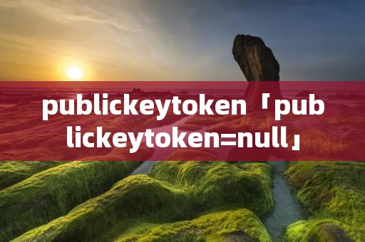 publickeytoken「publickeytoken=null」