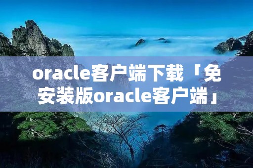oracle客户端下载「免安装版oracle客户端」 oracle客户端下载「免安装版oracle客户端」