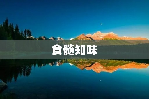 食髓知味:探寻中国美食背后的文化故事