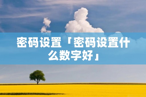 密码设置「密码设置什么数字好」
