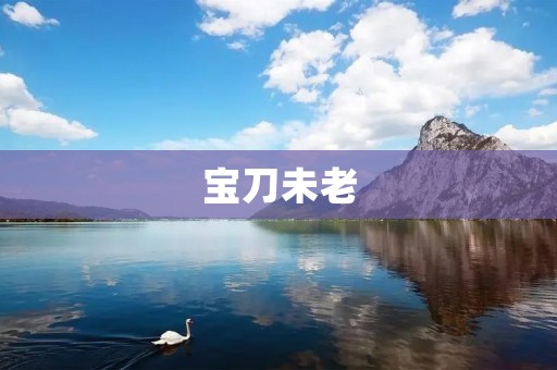 宝刀未老:传奇剑客的不朽荣耀