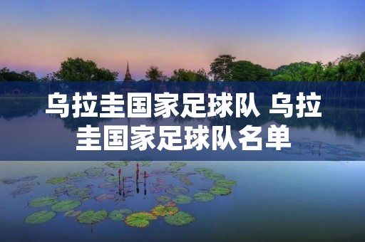 乌拉圭国家足球队 乌拉圭国家足球队名单
