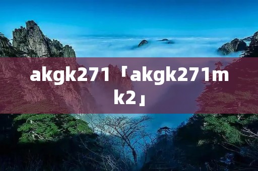 akgk271「akgk271mk2」