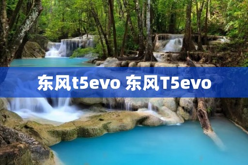 东风t5evo 东风T5evo