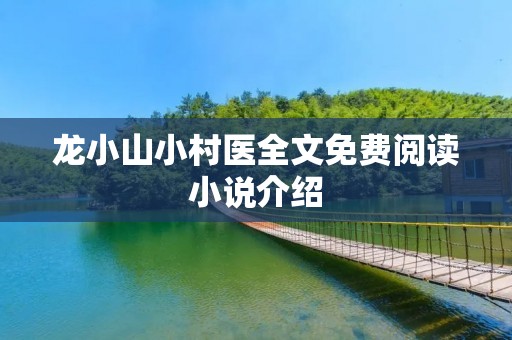 龙小山小村医全文免费阅读小说介绍